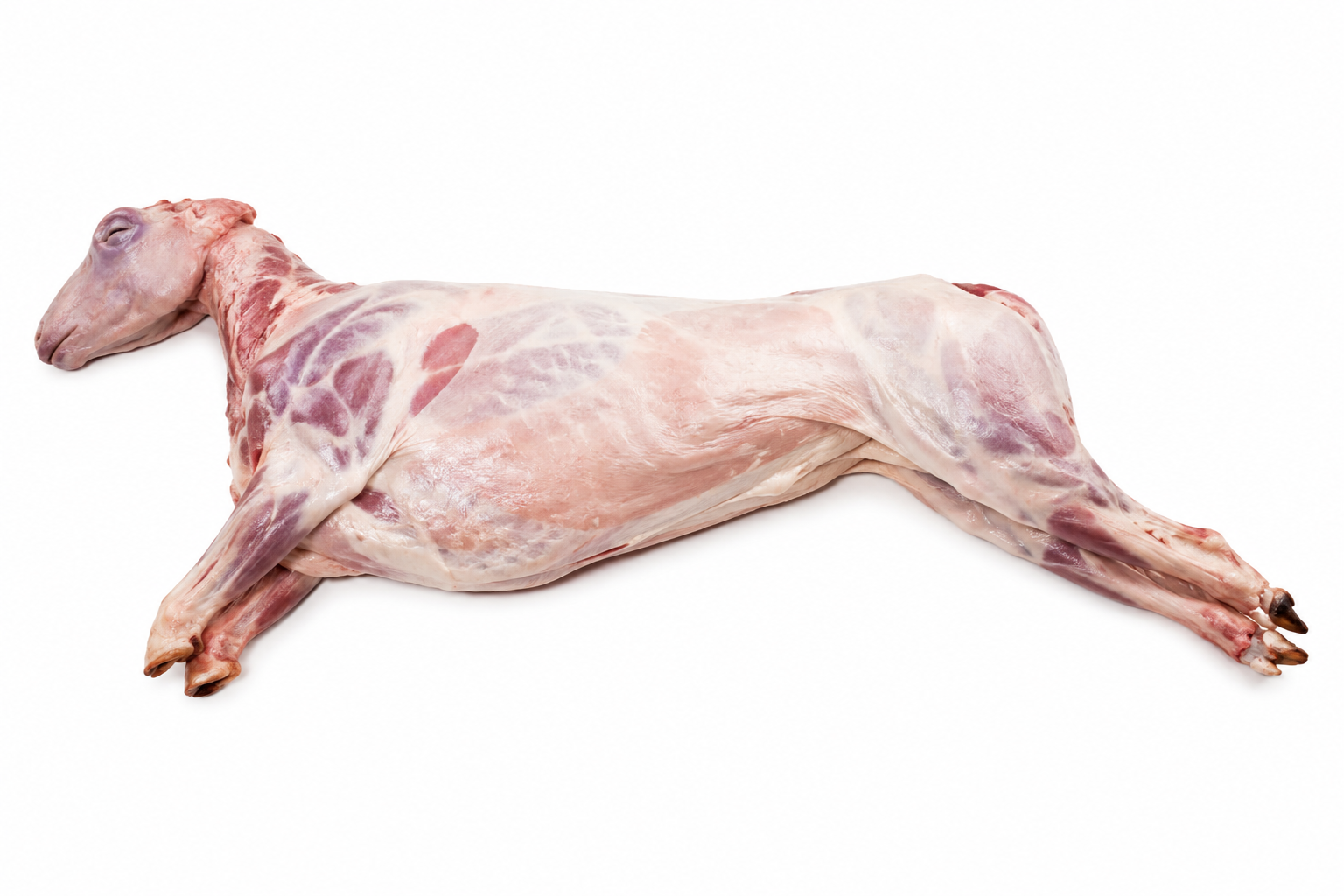 Premium Whole Spit Lamb | Australian Lamb for Spit Roast