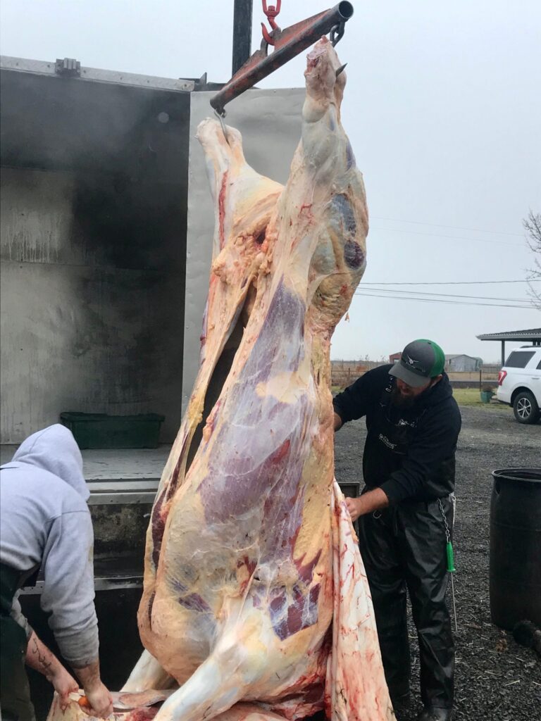 Whole Cow Butchered Sydney Delivery: What Does a Whole Cow Cost?