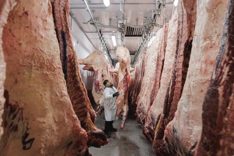 Average Cost of Half a Beef Processed Near Me: What Should You Expect in Australia?