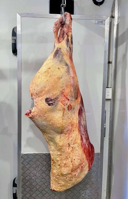 Hind quarter of beef for Sale